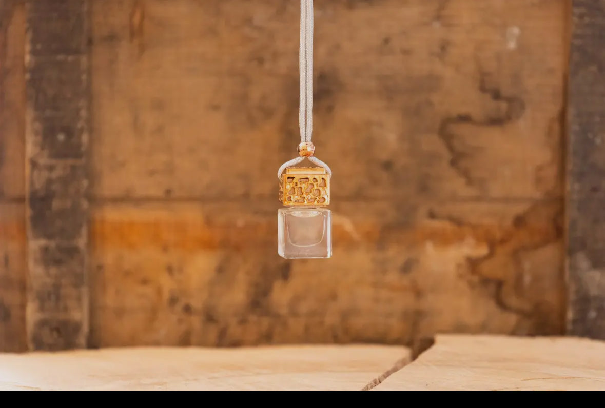 Boujie on a Budget Car Diffuser