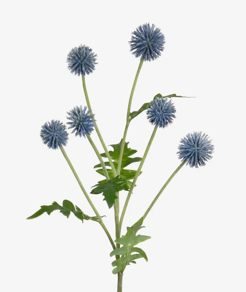 Blue Spike floral